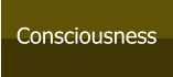 Consciousness